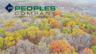 46 Acres ml  Madison County Iowa  Land for Sale [upl. by Crispin]