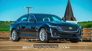 Luxury Unlike Any Other Experience the Entire Cadillac Lineup at Bentley Cadillac [upl. by Denver]