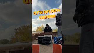 zeytin toplamaya gidiyorum [upl. by Haianeb]