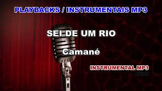 ♬ Playback  Instrumental Mp3  SEI DE UM RIO  Camané [upl. by Eberta]