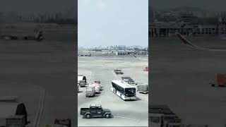 Cargo bags loading in the plane aeroplane mumbaiairport airport [upl. by Ahseit]