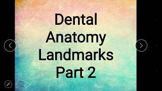 Dental anatomy landmark part 2 [upl. by Bibi]