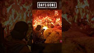 Juniper Ridge Horde💀 shorts gaming daysgone [upl. by Halihs]