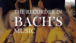 The Recorder in Bachs Music [upl. by Edmead917]