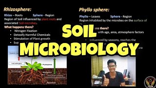 Soil Microbiology  Tamil  Rhizosphere  Phyllosphere  Soil Organisms  ThiNK VISION  Biologytnk [upl. by Gascony]