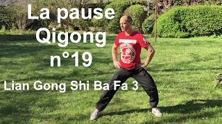 19  Détendre cou épaules dos jambes  Lian Gong Shi Ba Fa enchaînement complet [upl. by Okuy587]