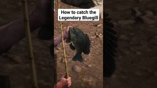 How to catch the Legendary Bluegill 🎣 Red Dead Redemption 2 [upl. by Ashton]