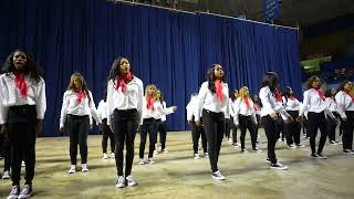 Delta Sigma Theta  Alpha Tau Chapter  Probate  Spring 2024 [upl. by Ishii186]