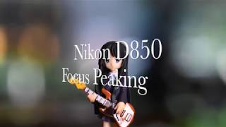 Nikon D850 Focus Peaking [upl. by Nolaf800]