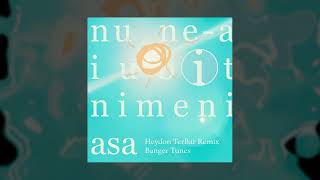 Banger Tunes  Nu nea iubit nimeni asa Heydon TerBar Remix [upl. by Dari]