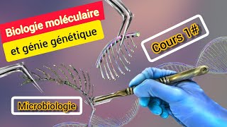 biologie moléculaire et génie génétiquepartie1 structure de lADN⚠️👍 [upl. by Ahsak]