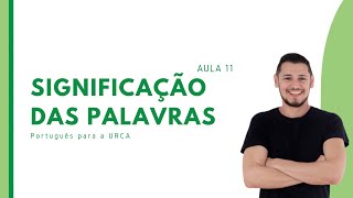 AULA 11  SIGNIFICAÇÃO DAS PALAVRAS [upl. by Gallagher109]