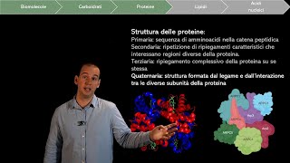 Le biomolecole gli Amminoacidi e le Proteine [upl. by Eiuqram]