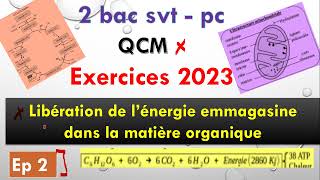 2 bac pc svt exercice 2023 ep 2  libération de lénergie emmagasinée dans la matière organique [upl. by Dis273]