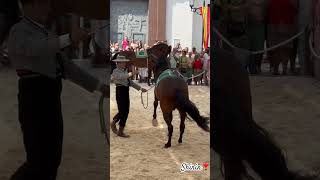 Día del Caballo de Fuengirola Equestrianshows quotSeptember21 2024 [upl. by Valery]