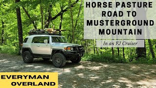 Horse Pasture Rd to Musterground Rd in an FJ Cruiser Day 1 of a 4 [upl. by Ahseinad20]