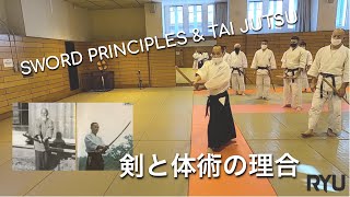 【合気道講習会】「体術と剣の理合」 Part1（講師：安藤毎夫師範） Aikido Ryu New Year Special Seminar PART 1 [upl. by Cowen]