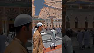 MADINAH LIVE  MADINAH MUNAWWARAH shorts everyone ytshorts trending islamic madina highlights [upl. by Nunnery]