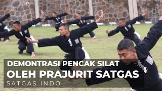 ATRAKSI PRAJURIT TERBAIK TNI BERBAGAI SENI BELA DIRI NUSANTARA DENGAN ILMU KEBALNYA [upl. by Snook]