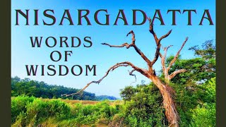 Nisargadatta Maharaj Nondual Teachings of Love and Wisdom [upl. by Robinett]