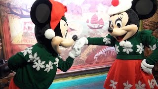 Mickey amp Minnie Mouse in Holiday Outfits Meet amp Greet at Disneys Animal Kingdom 2016 [upl. by Bach]