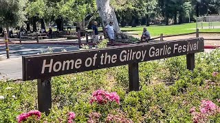 Gilroy organizers work to bring back garlic festival [upl. by Nehgem777]