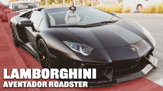 Najładniejsze LAMBORGHINI Aventador roadster na ulicach Dubaju  Polski mechanik w Dubaju  VLOG 6 [upl. by Suivatco]