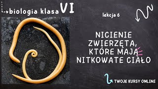 Biologia klasa 6 Lekcja 6  Nicienie  zwierzęta które mają nitkowate ciało [upl. by Chrysler]