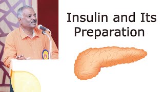 Insulin and Its Preparation by DrSKavimani [upl. by Ezar]