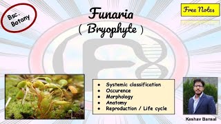 Funaria  Morphology  anatomy amp Life cycle  Bsc  Free PDF notes  by Viologia EXtrema [upl. by Nyram]