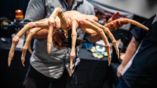 Lifelike Animatronic Facehugger Practical Effects Puppet [upl. by Peltz]