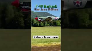 Giant P40 2000mm EPO Foam warbird p40 rcplane [upl. by Nets]