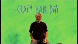 Barney Saltzberg Crazy Hair Day [upl. by Oeram717]