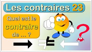 Les antonymes les mots contraires  Quiz éducatif pour apprendre le vocabulaire français [upl. by Ness]