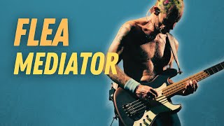 FLEA 🎸 BASSE Légendaire n°15 [upl. by Maril]