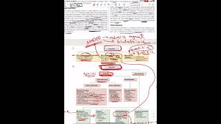 Haemolytic Anemia  General Principles [upl. by Zahara890]