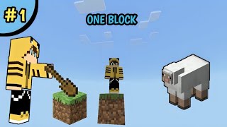 The new journey begins  One block 1 Minecraft [upl. by Sulamith]