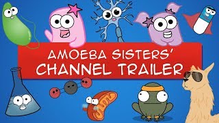 The Amoeba Sisters YouTube Trailer OLD VIDEO [upl. by Halverson]