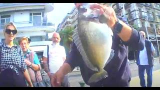 Gilthead bream rod fishing on the old seafront of Thessaloniki [upl. by Desberg844]