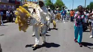 The Original Pigeon Town Steppers Super Easter Sunday 25th Anniversary secondline 2019 v2 [upl. by Anaihsat]