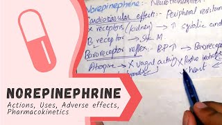 NOREPINEPHRINE  Actions Uses Pharmacokinetics adverse effects PHARMACOLOGY [upl. by Tychon246]