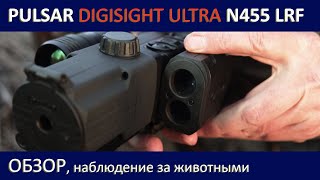 Pulsar Digisight Ultra N455 LRF Обзор наблюдение за животными [upl. by Misab]