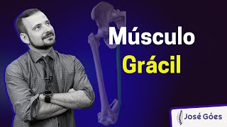 Músculo Grácil  José Góes [upl. by Iah]