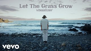 Ruel  LET THE GRASS GROW Visualizer [upl. by Einad]