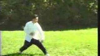 Xing Yi Quan 6 Harmony Form  Li Tai Liang [upl. by Eiramassenav]