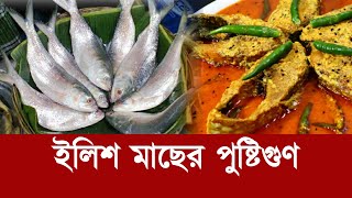 ইলিশ মাছের পুষ্টিগুণ  Tenualosa Ilisha  Hilsa  Ilish Fish  Nutrition  Health Tips [upl. by Mcevoy459]