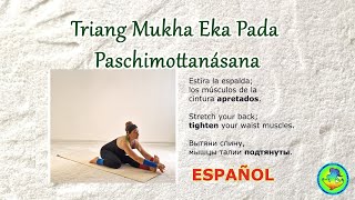 15 Triang Mukha Eka Pada Paschimottanasana ESPAÑOL [upl. by Chader]