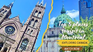 Must visit places in MontrealQuebec  Travel Vlog  Explore Canada  RTM Station [upl. by Annoyk30]