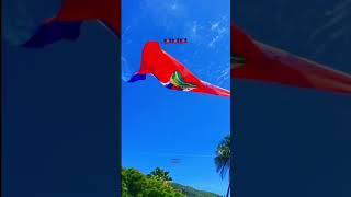 Happy Haitian Flag Day 🇭🇹 haiti haitianflagday ayisyentiktok haitiantiktok foryou [upl. by Readus]