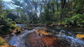 Relaxing Mesmerising Flowing Water video and sounds escapism subscribe nature hypnotic water [upl. by Tarttan820]